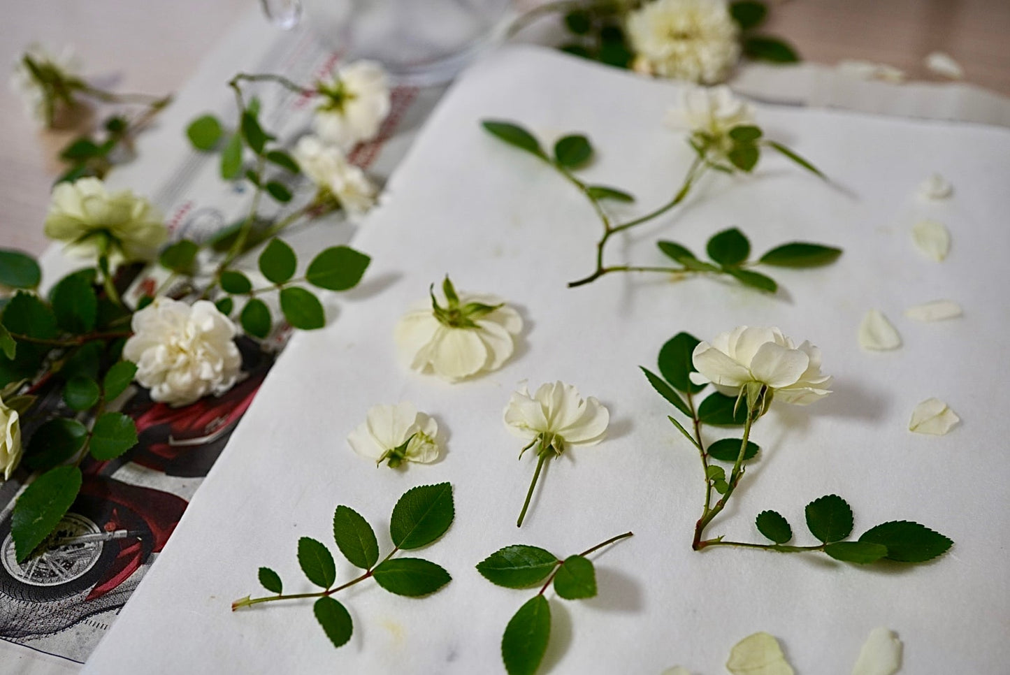 【プロだからこそ見せられる】洗練された押し花デザインの舞台裏